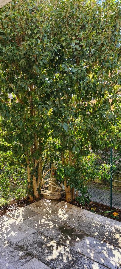 Jasmine Country House Vicenza Dış mekan fotoğraf